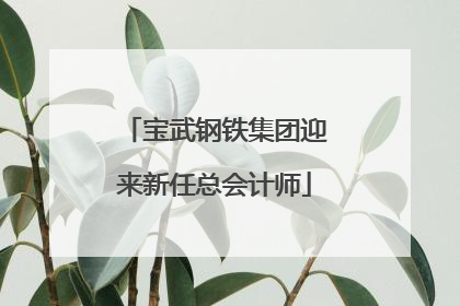 宝武钢铁集团迎来新任总会计师